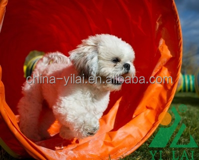 QQ20150520114848.jpg