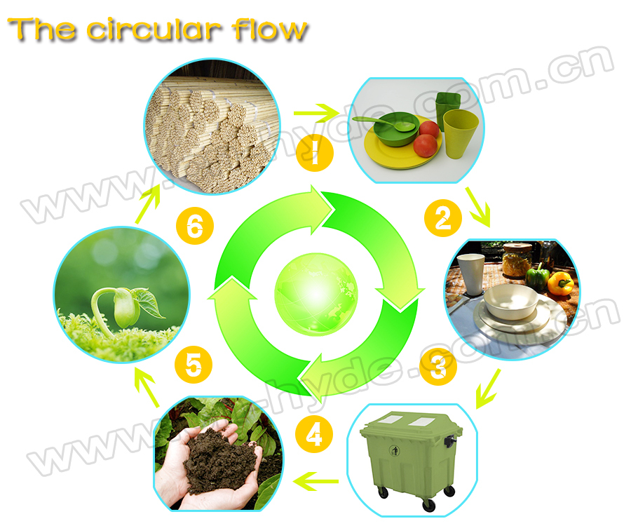 The circular flow.jpg