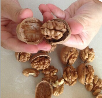 light color fresh walnut from China
