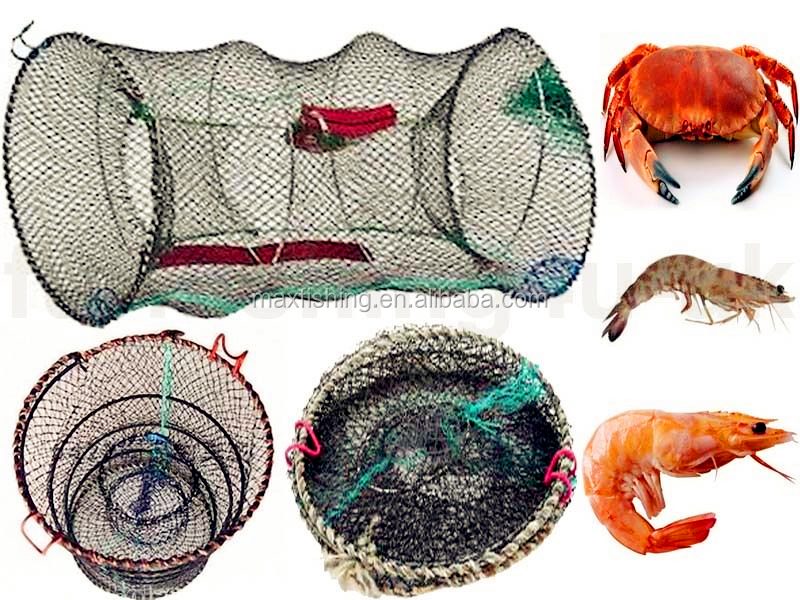 Round Folding Fish Traps For Sale Buy Fish Traps,Folding Fish Traps,Fish Traps For Sale