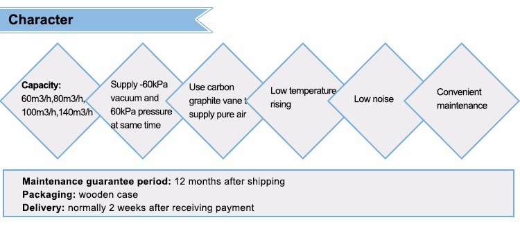 Great Race Rietschle Thomas Vacuum Pump Manual With Ce Certificate