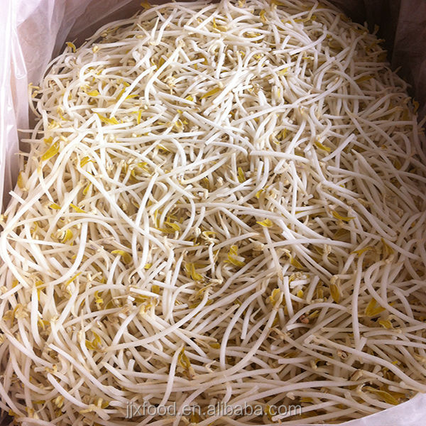 2014 new product bean sprout