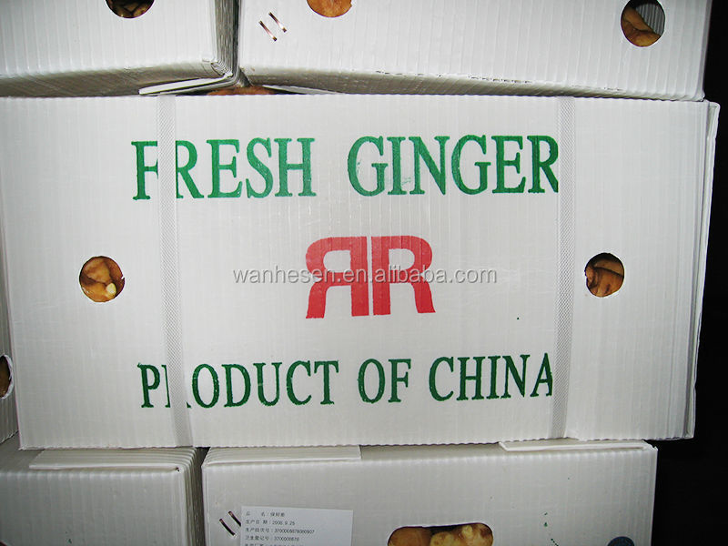 cheap price of fresh ginger in egypt