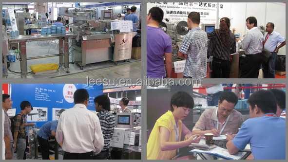 SGM060-3A-P/T Automatic Pillow Horizontal Flow Chocolate Bar Packing Machine