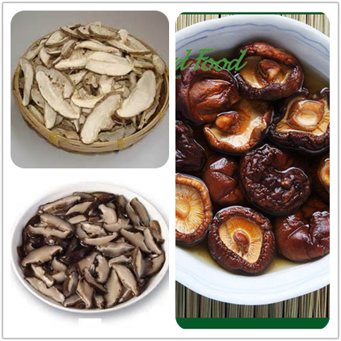 400g China organic shiitake mushrooms in can