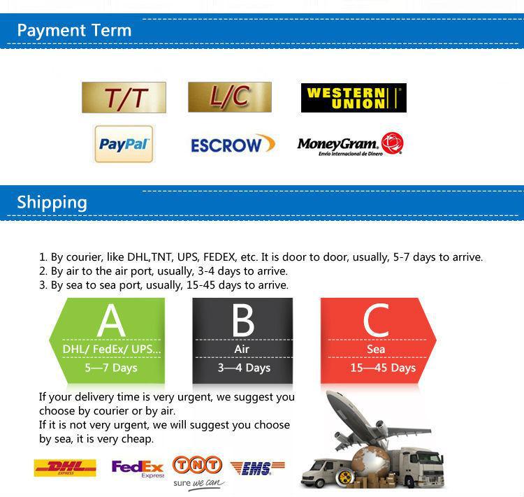 payment term and shipping.jpg