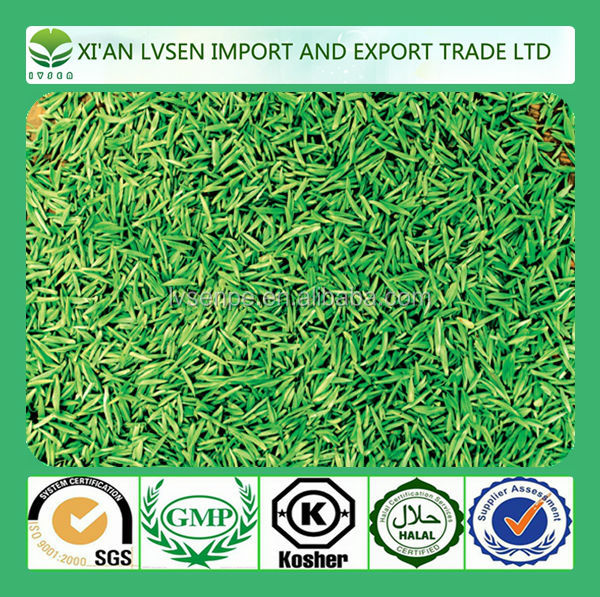 Regulating lipids and Preventing cardiovascular disease green tea extract powder95%