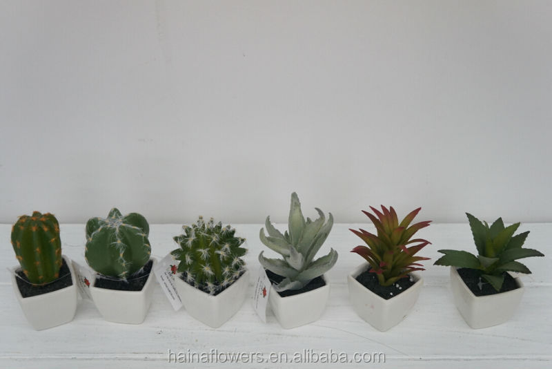 安いミニ人工的な鉢植えのベストセラーのアロエ植物仕入れ・メーカー・工場