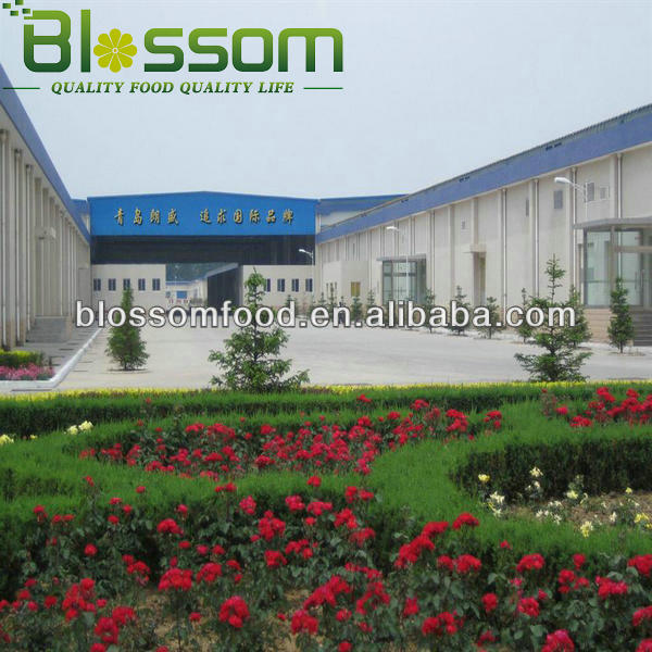 China top quality frozen green bean new crop names all fruit vegetables