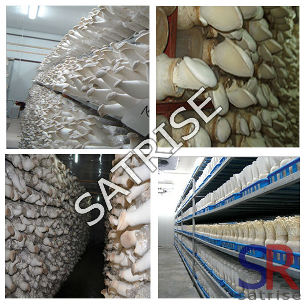 2016中国提供キノコ栽培医療クリーンベンチ仕入れ・メーカー・工場