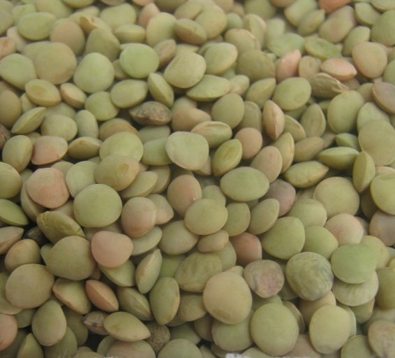 2014 crop tops pp woven bags 50kg lentil/lentil bean China supplier