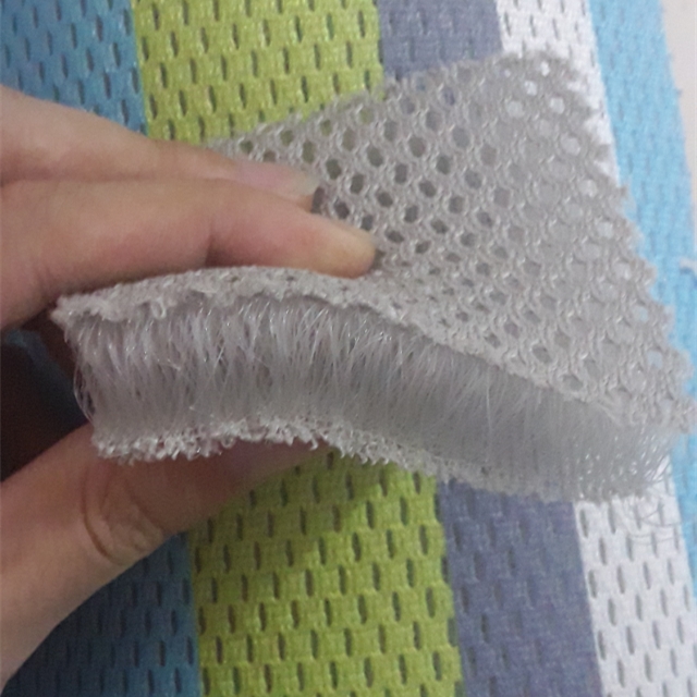 3d mesh.jpg