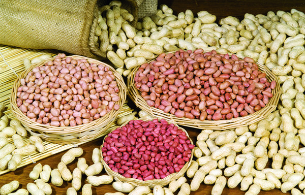 2014 cheap raw peanut with high quality, with ISO, HACCP, made in china ,
