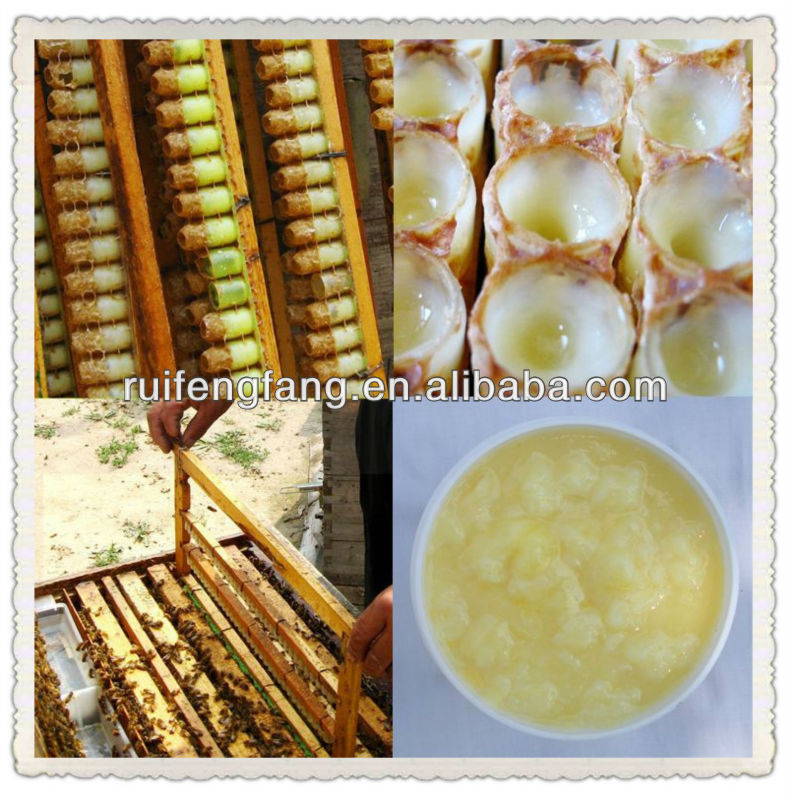 The high extract royal jelly factory lyophilizer price with best quality