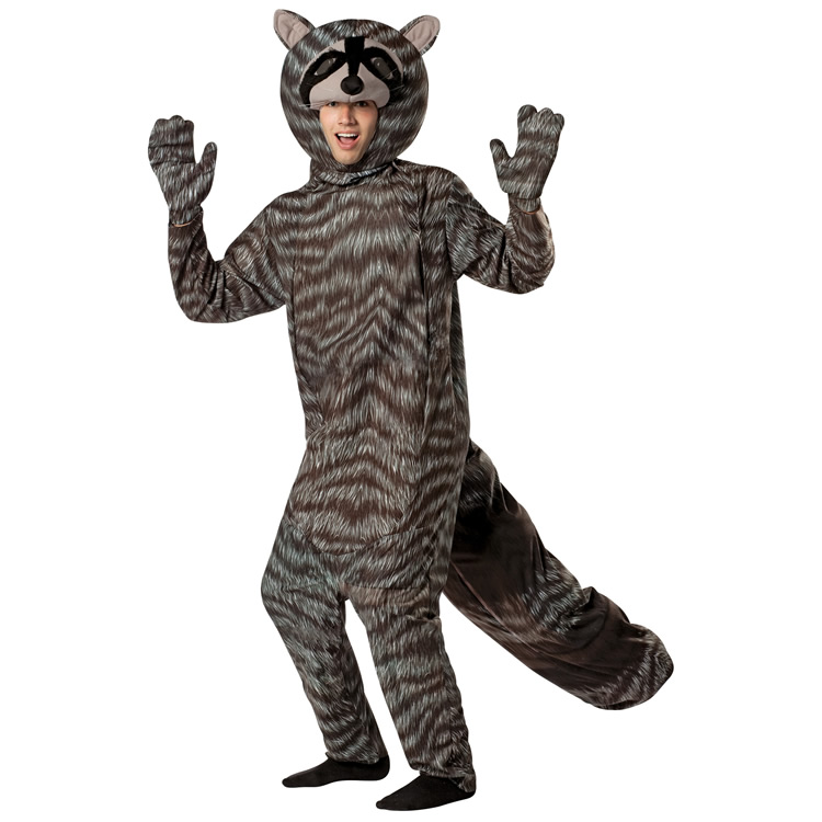 raccoon costume 3.jpg