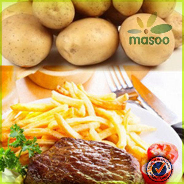 new fresh holland potato 150-200g export