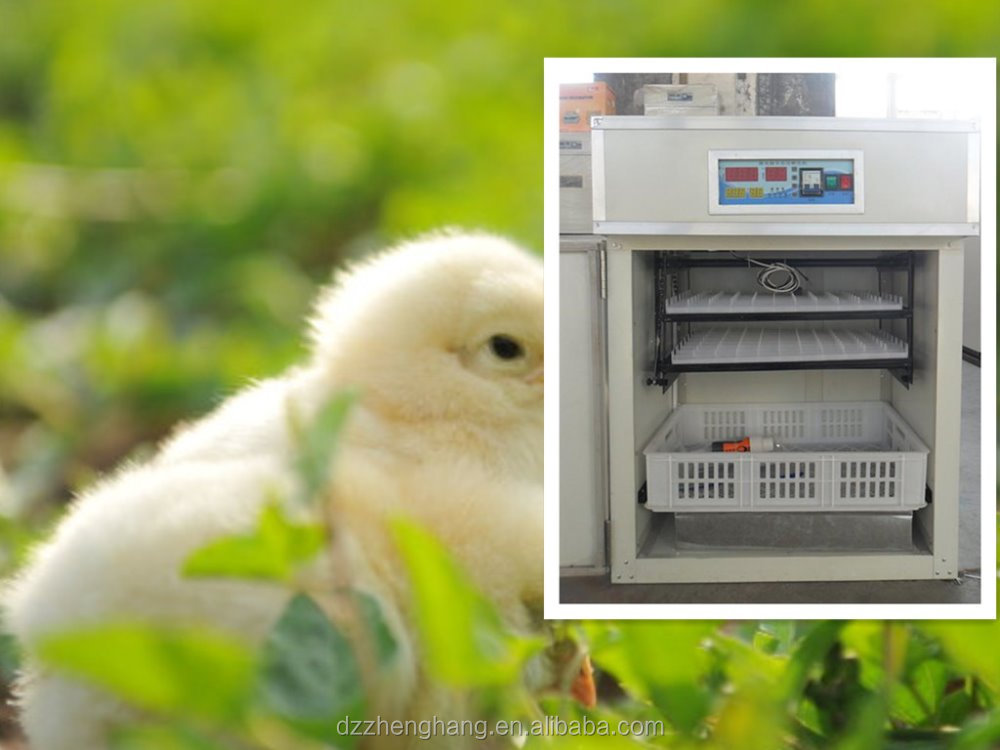 best price automatic chicken egg hatchery incubator for sale