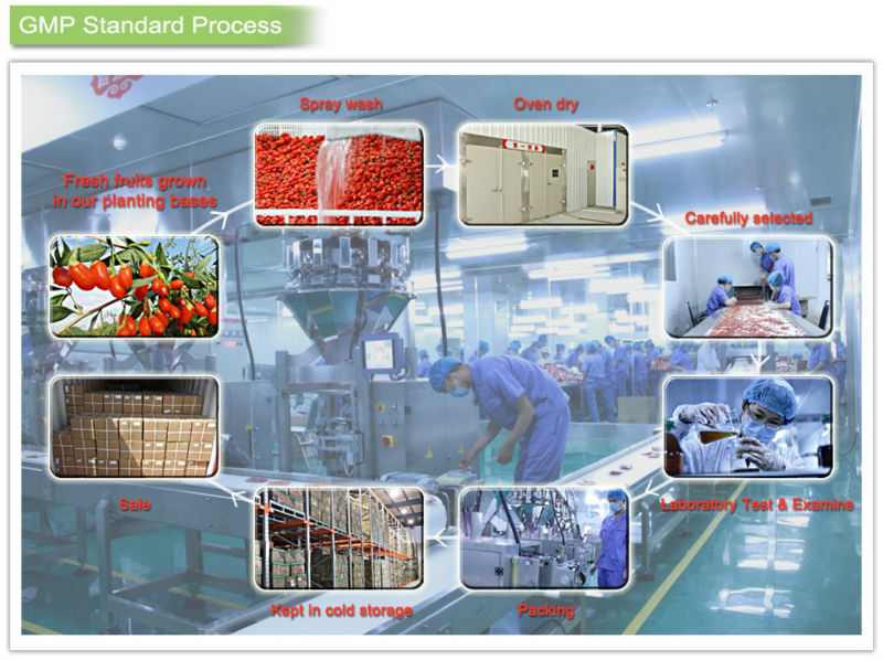 Low pesticide residue wolfberry/goji berries