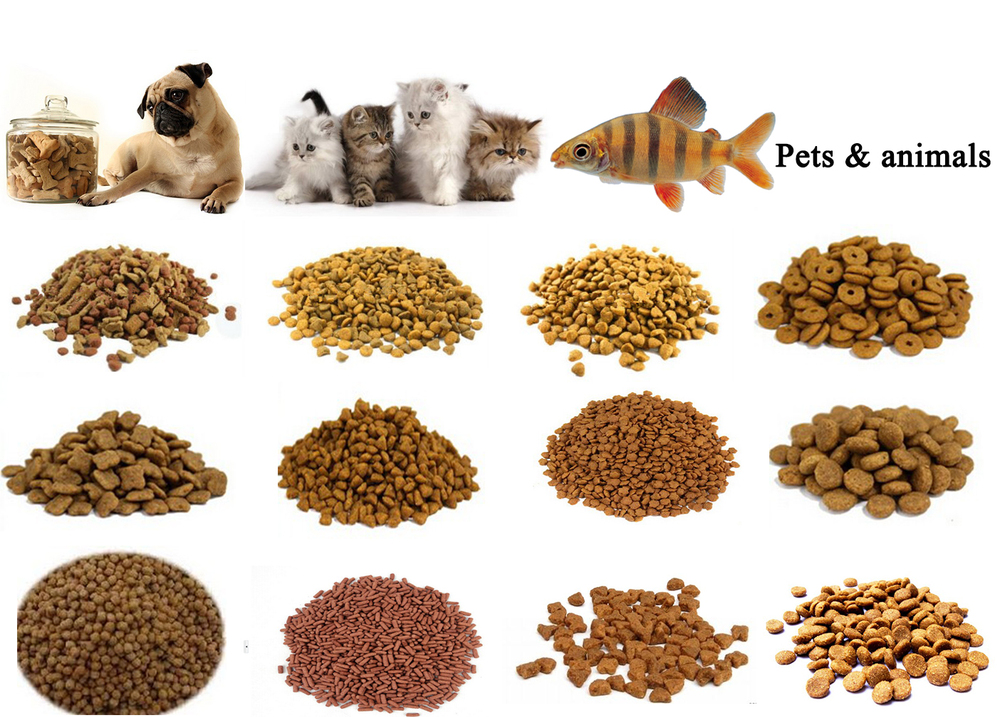 Feed The Animals Seamless Download Yahoo