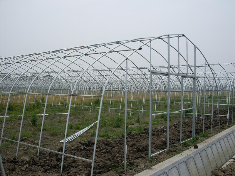 20099231559244455.jpg