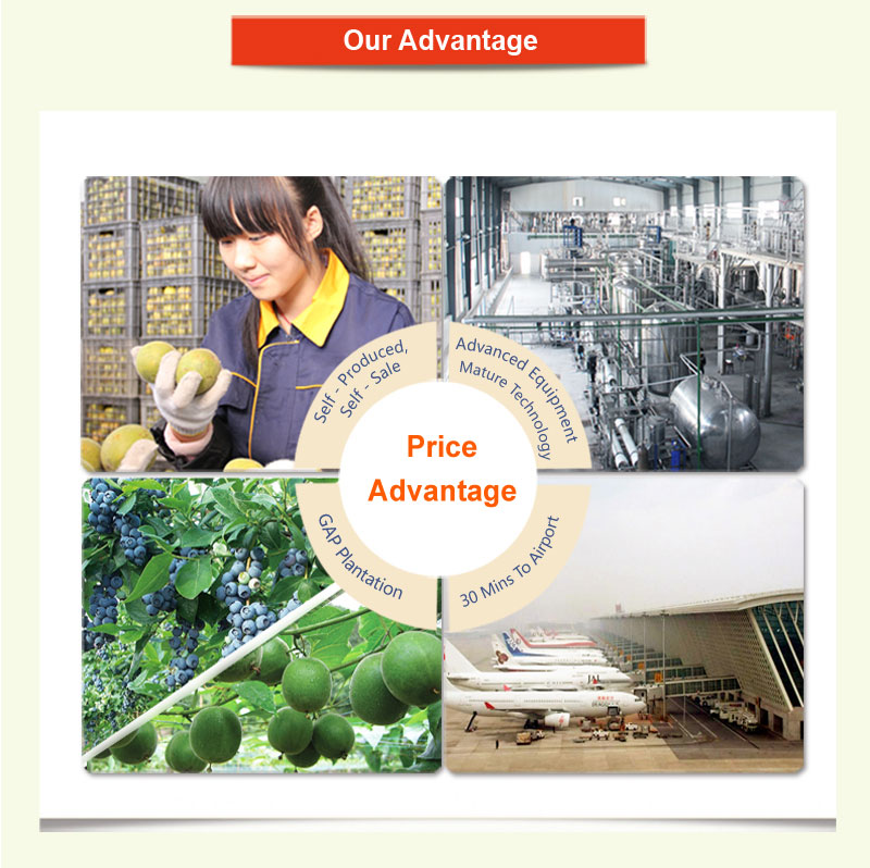 Factory Detail-Advantage 1.jpg