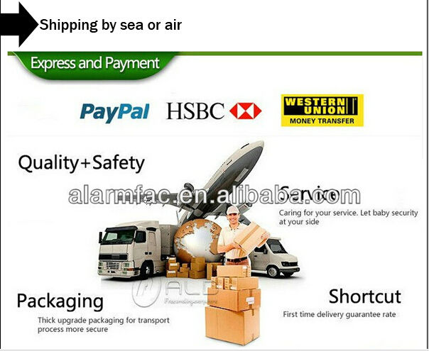 shipping.jpg