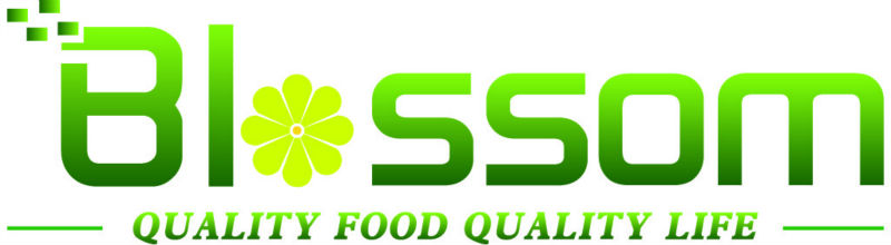 IQF fresh bulk whole frozen green mung beans