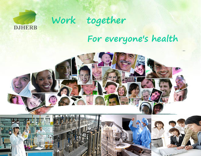 Cocoa beans oil extraction,cocoa extract theobromine,cocoa powder extract