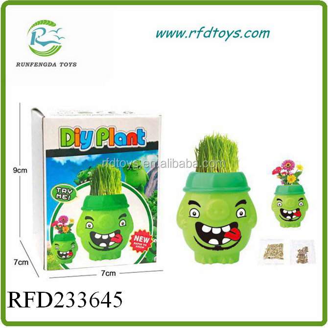 New Product Preshool Plant Diy Growing Grass Toy Buy Diy Growing