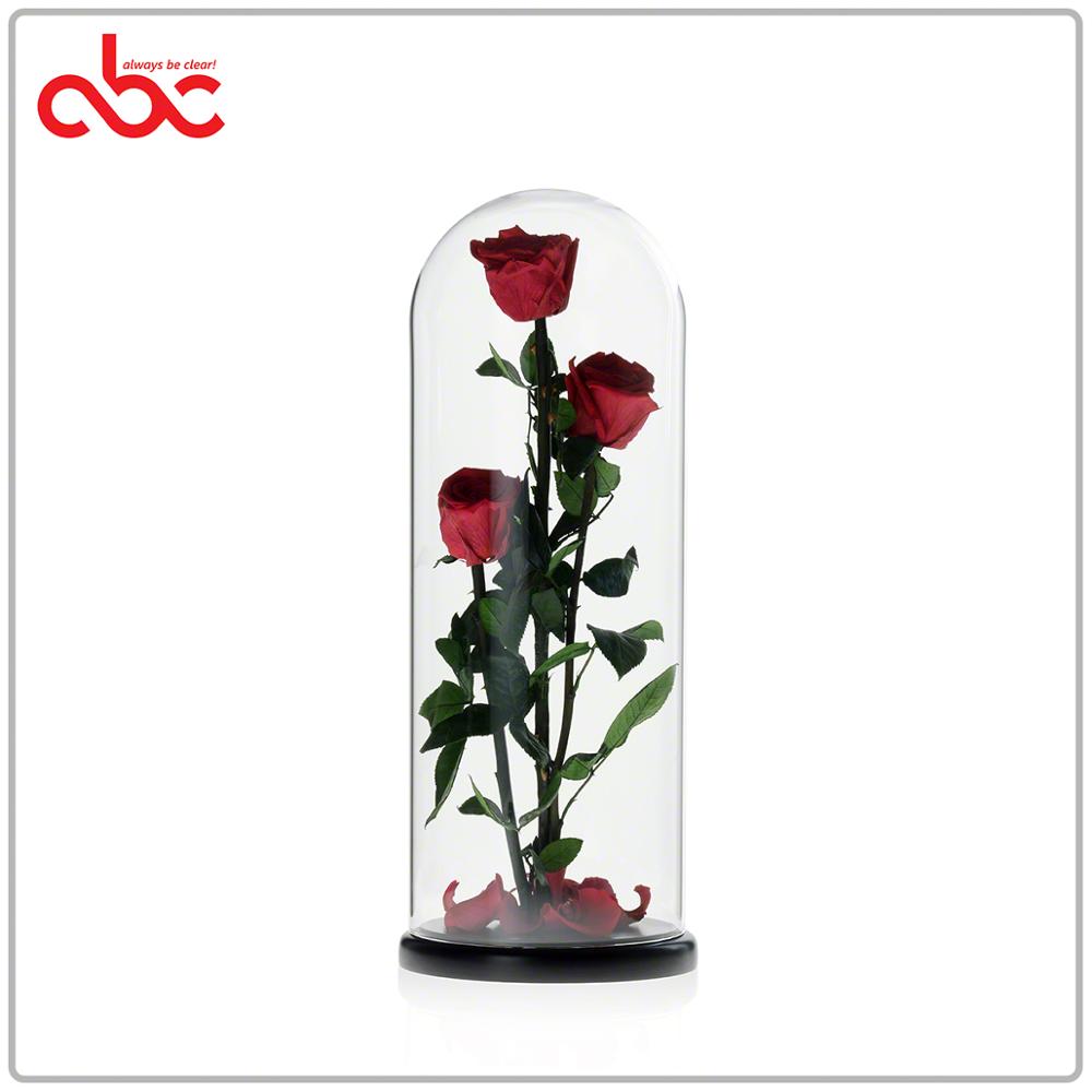 rose-in-glass-dome.jpg
