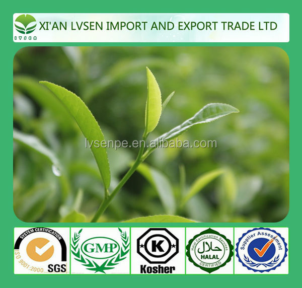 Improving immunity and Anti-radiation natural green tea extract polyphenol