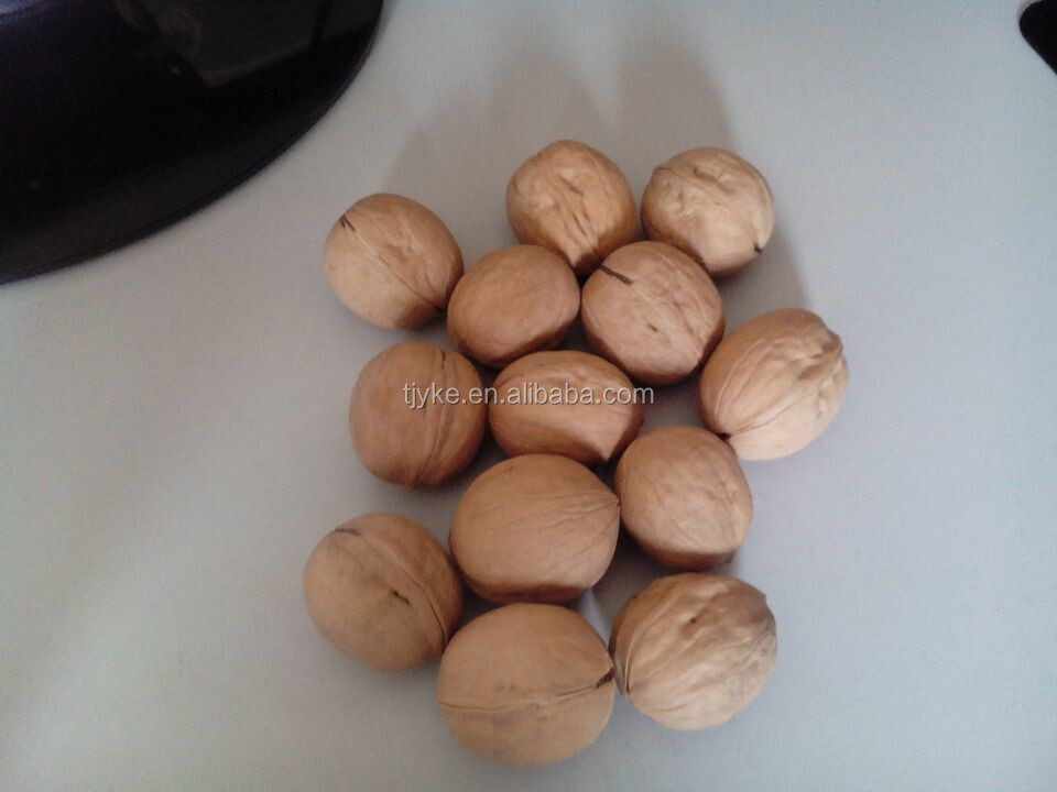 2014 new walnut kernel YKW-WK2