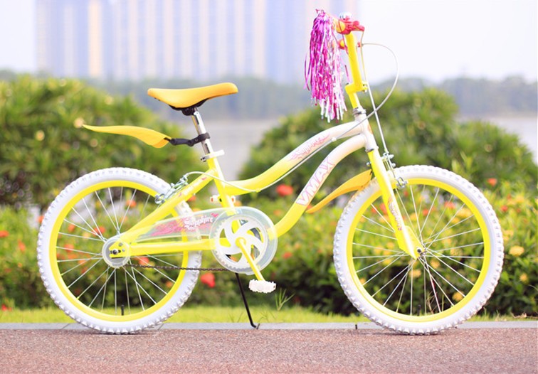 bicycle for 10 year girl