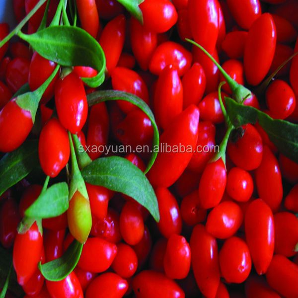 wolfberry extract/Goji berry extract/wolfberry powder