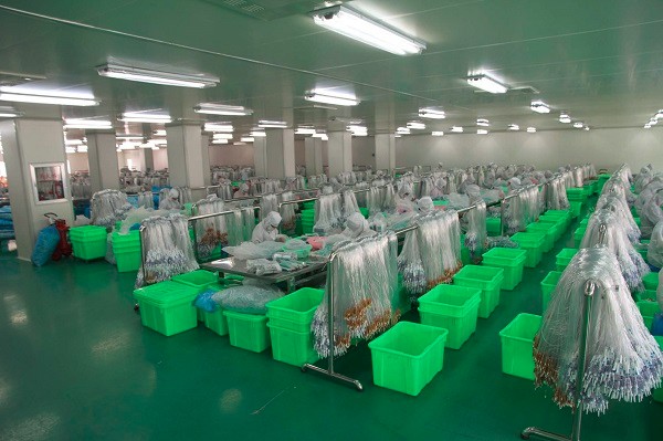 目に見えない外反母趾&リトルつま先外反母趾装具、腱膜瘤袖ターフつま先インソール、つま先プロテクター 問屋・仕入れ・卸・卸売り