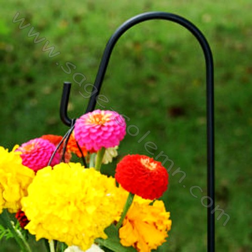 Park Hanging Flower Basket Shepherd Hook Buy Park Hanging Flower