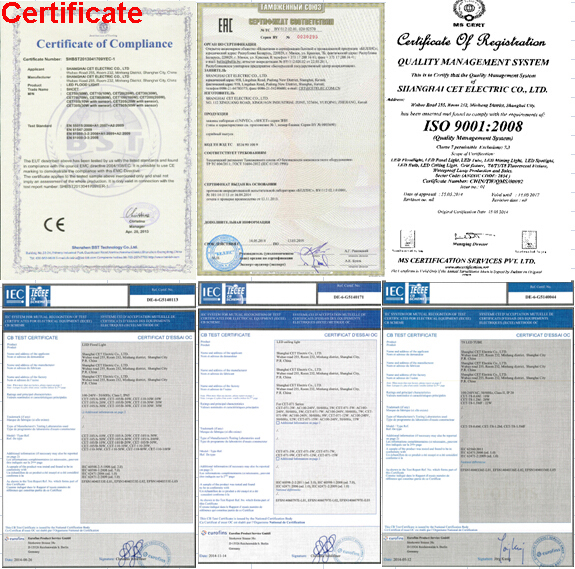 certificate.jpg