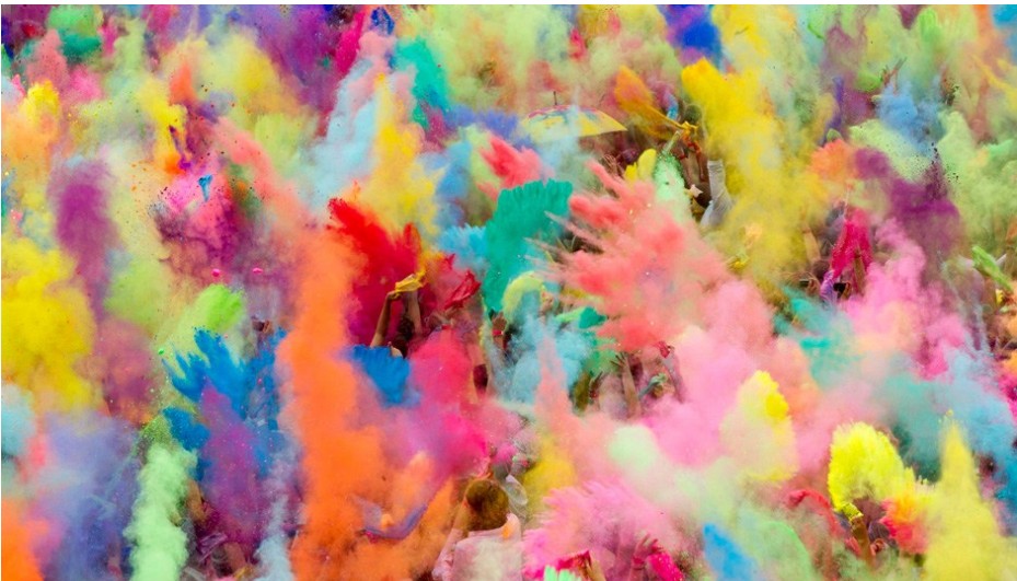 Different Color Corn Flour price