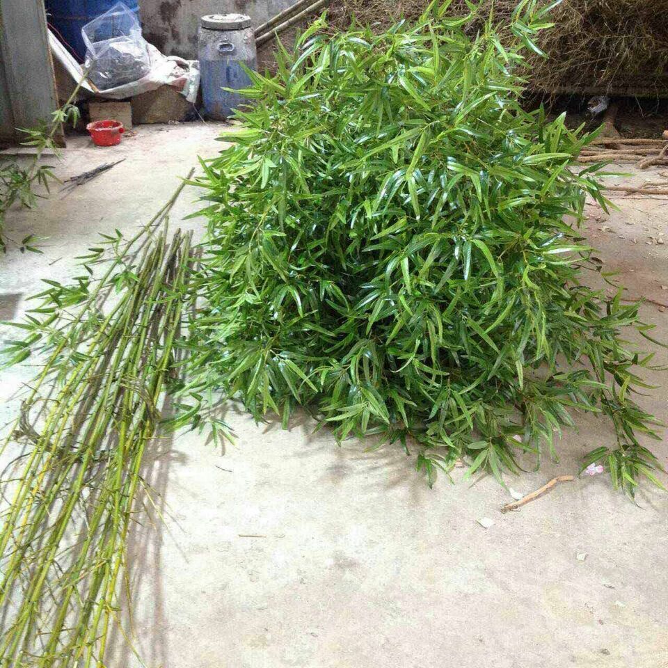 Guangzhou Shuyi Lifelike Artificial Bamboo Tree Chinese Bamboo Plants