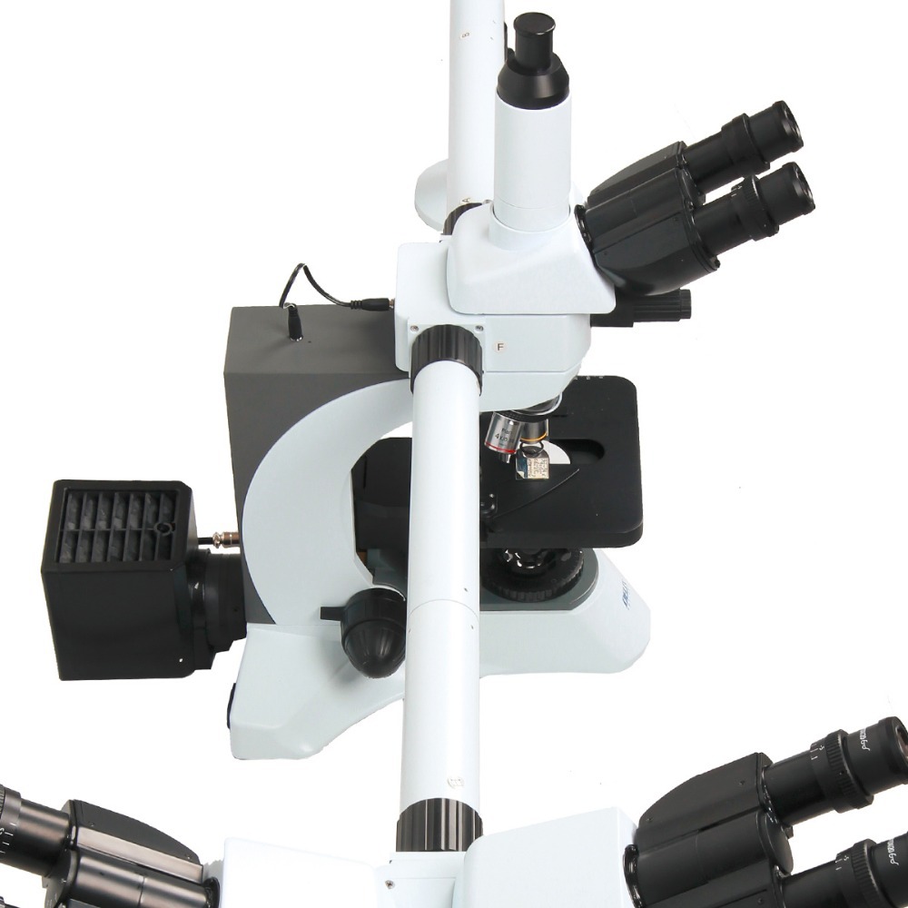 MUL.06.N510-3.jpg