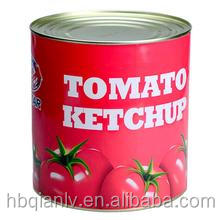 tomato paste plant
