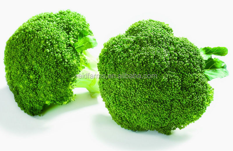 2014 new fresh reid farms broccoli for exporting A grade
