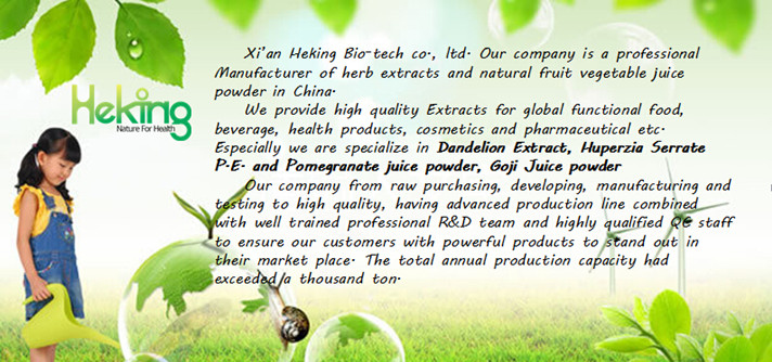 Raw Material Rutin Extract