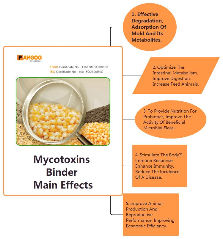 Mycotoxin Binder,A Effective For Adsorption Of Mycotoxins