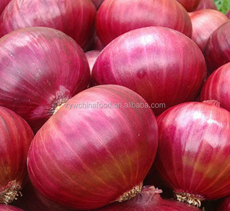 Fresh Onion Red Onion Good Taste For Hot Sale