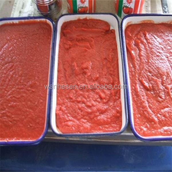 Best taste tomato ketchup concentrated in glass bottle 500gX12bottles