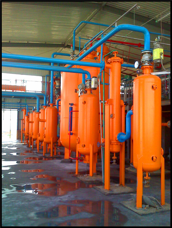 high efficient onion/cumin simmondsia chinensis/cinnamon/rhodiola rosea/ seed oil extract machine