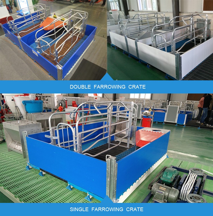 Farrowing Crates For Pigs/farrowing Crate Design/pig Farrowing Crates Buy Farrowing Crates For