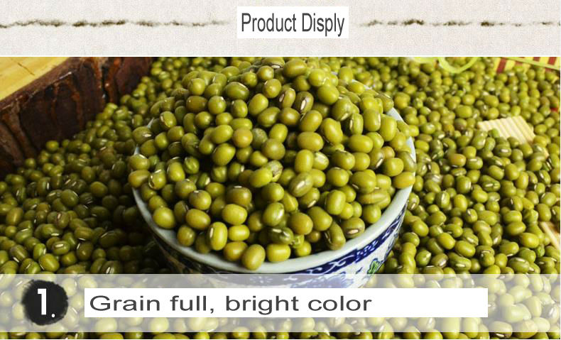 Dry high quality bulk green mung bean specification with a good price