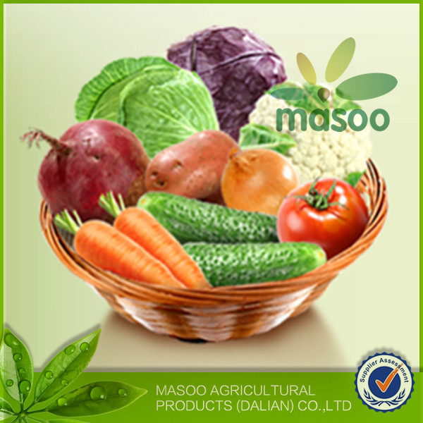 Local fresh plush red carrot /export price for chinese fresh red carrot